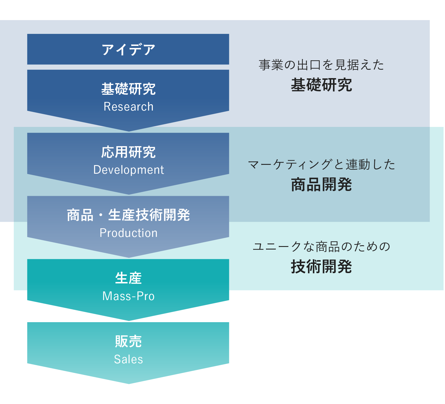 応用研究