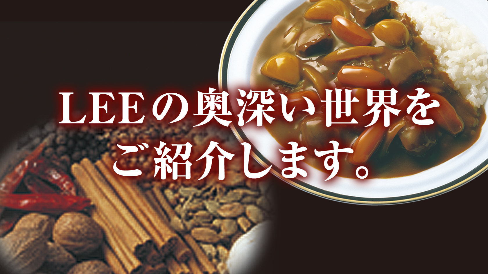 奥深いグリコの定番カレー「LEE」