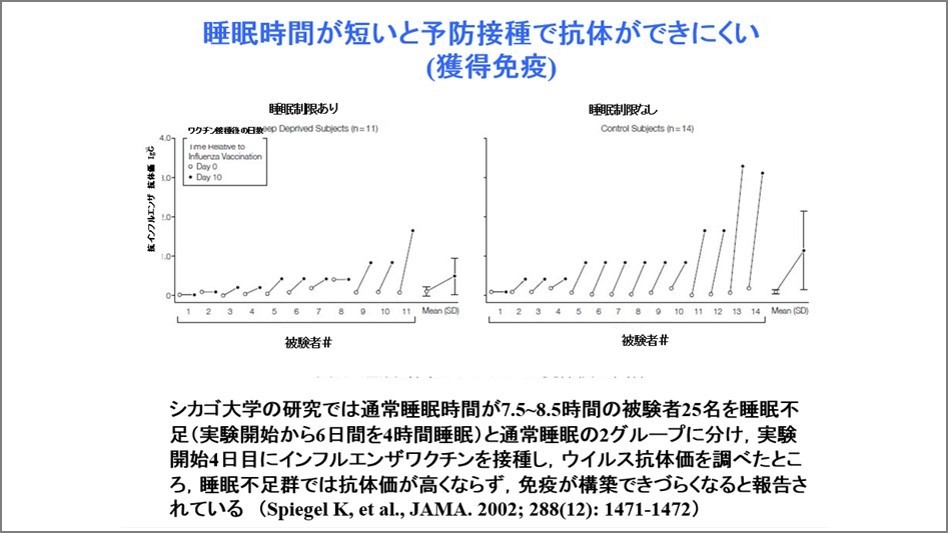 免疫力アップにもつながる、睡眠パワー。