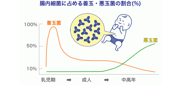 腸内フローラとプロバイオティクス