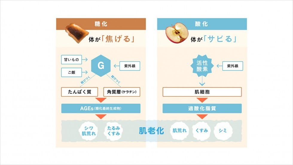 加齢物質減少やダイエット効果の報告も 酸化 糖化を遠ざけるアーモンドの力 忙しい時こそしっかり体のケアを 公式 江崎グリコ Glico 加齢物質減少やダイエット効果の報告も 酸化 糖化を遠ざけるアーモンドの力 忙しい時こそしっかり体のケアを 公式 江崎グリコ Glico