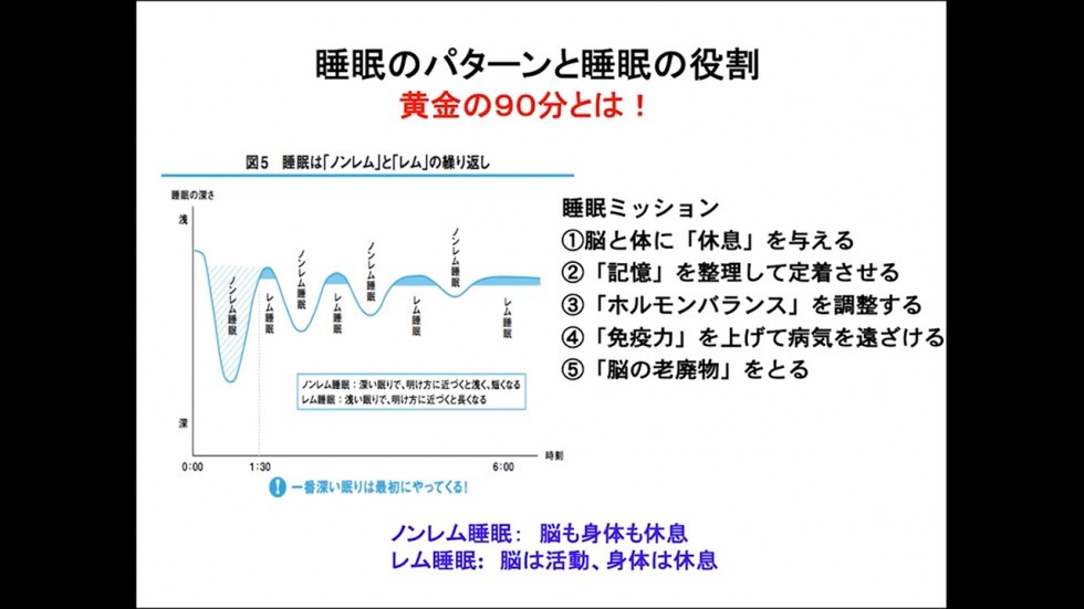 睡眠パターンと睡眠の役割を説明した画像