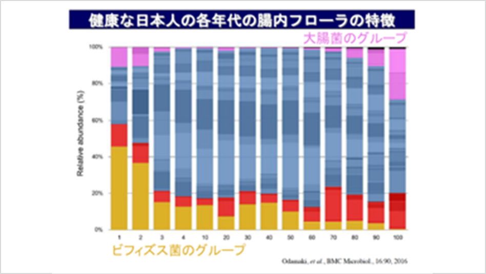 健康な日本人の腸内細菌のバランス