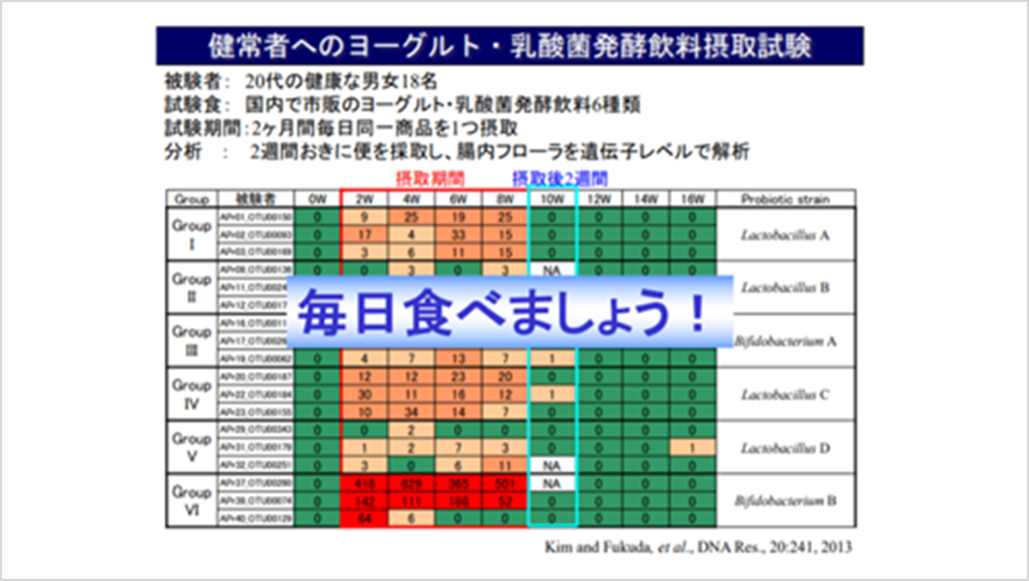 腸内細菌の状態