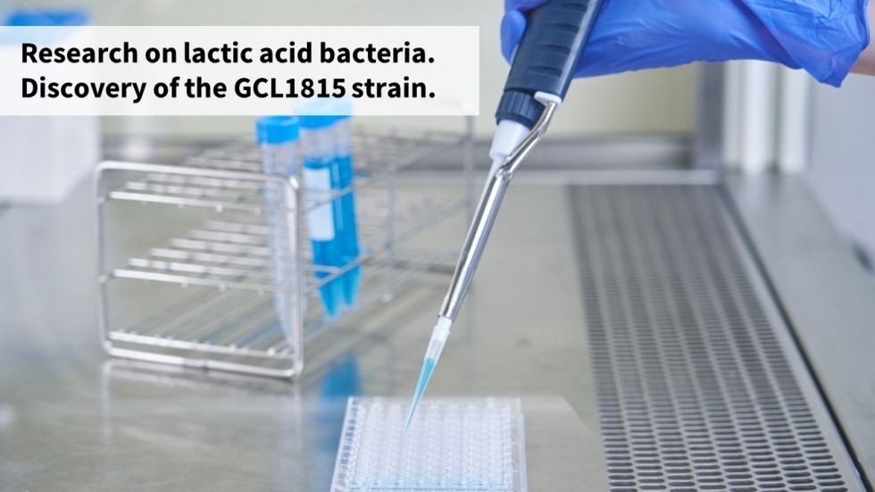 Research on lactic acid bacteria. Discovery of the GCL1815 strain.