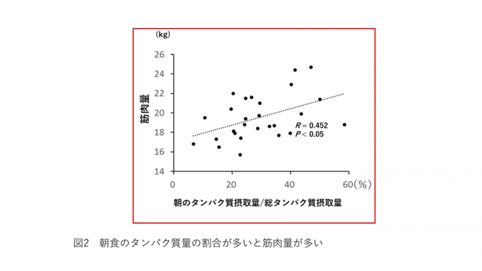 朝食のタンパク質量と筋肉質量