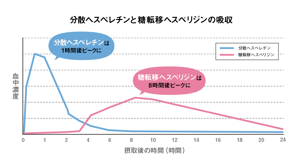 分散ヘスペレチンと糖転移ヘスペリジンの吸収結果グラフ