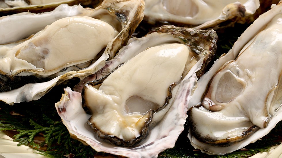 牡蠣にはエネルギー代謝に大切なグリコーゲンが多く含まれている