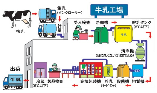 ミルクができるまで