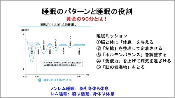 睡眠のパターンと睡眠の役割