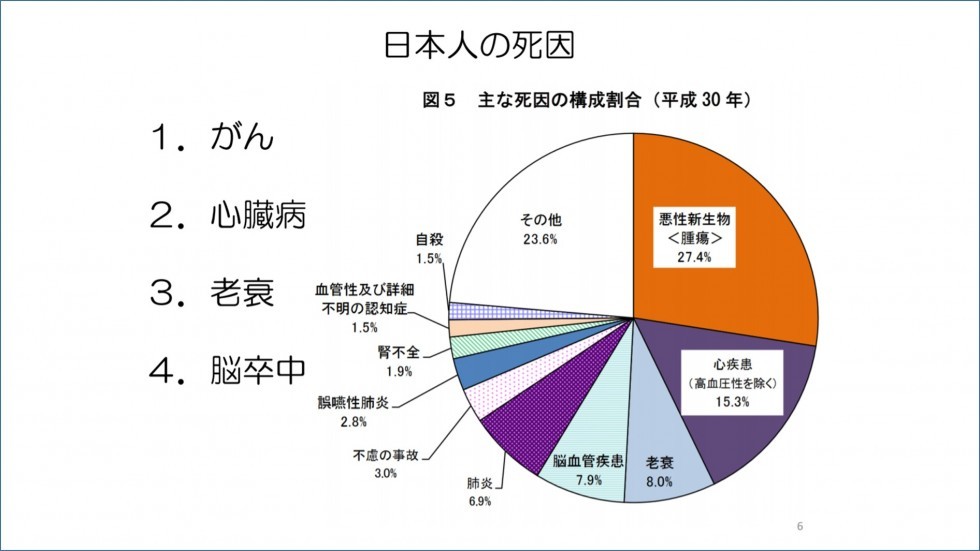 メイン担当