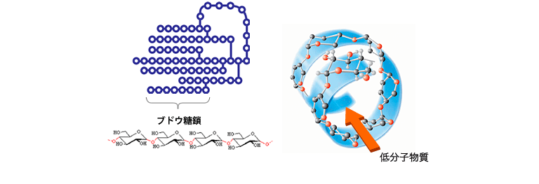クラスター デキストリン グリコ栄養食品