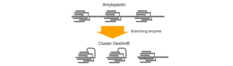 Cluster Dextrin image by S-C-Nutrition.