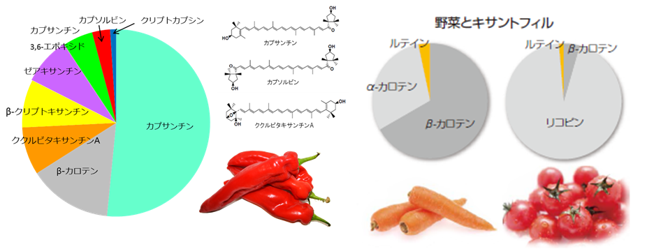 Paprix Sup Sup グリコ栄養食品