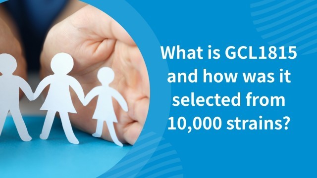 What is GCL1815 and how was it selected from 10,000 strains?