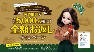 ポッキーカカオ60％