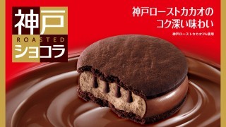 ガトーショコラ クッキーサンドアイスのキービジュアル