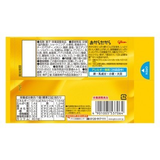 おからだから_チーズケーキ_2個_展開図