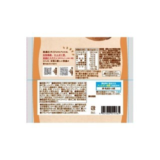 亜麻仁サイクル_フェムサポートパン_ドライフルーツ入り_展開図