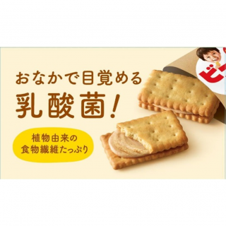 ビスコ素材の恵み＜大豆＞みるくアンドきな粉　展開図