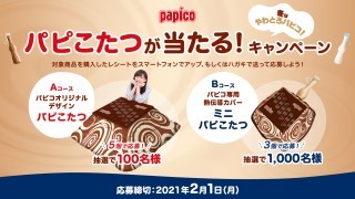 パピこたつが当たる