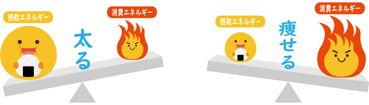 エネルギー出納とは