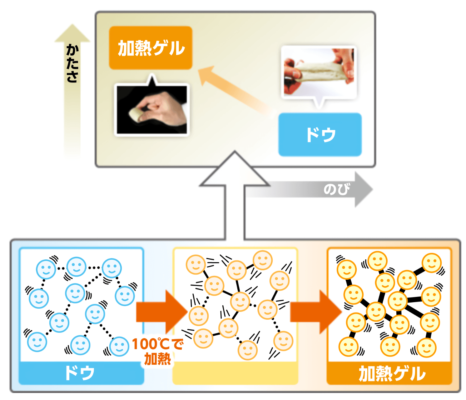 かたさドウ加熱ゲル100℃で加熱加熱ゲルのび