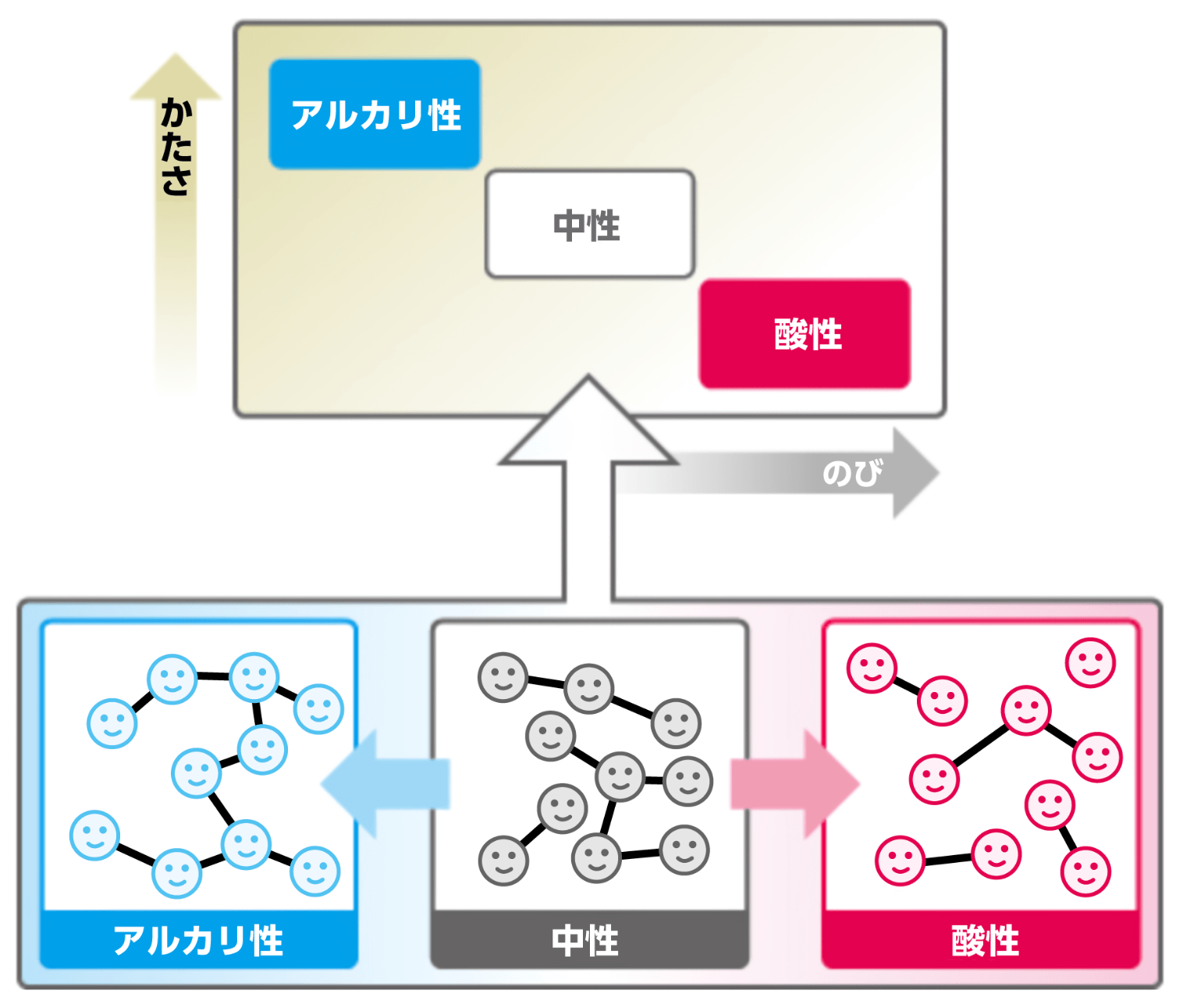 かたさアルカリ性中性酸性のびアルカリ性中性酸性